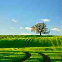 脚‍本‍是﻿干﻿啥‍的​